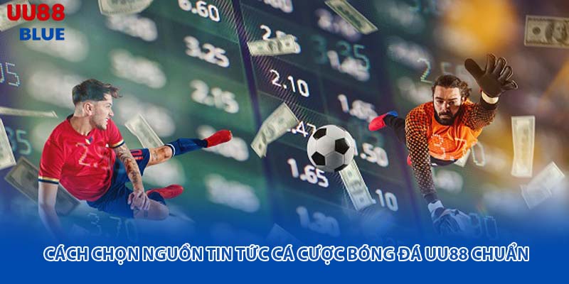 Việc chọn đúng nguồn cung cấp thông tin là bước quan trọng để tránh hiểu lầm.