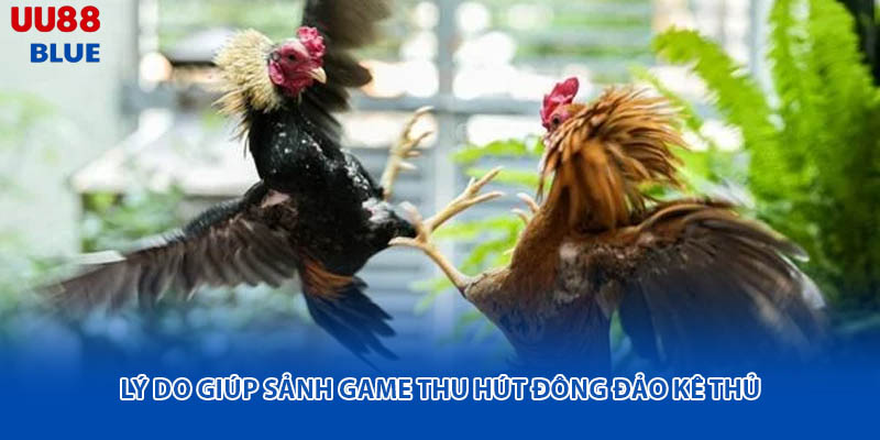 Sảnh đá gà UU88 đã giữ vị trí quan trọng với người tham gia nhờ vào dịch vụ đầy đủ và hệ thống kèo cược đa dạng