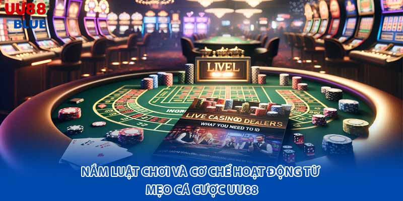 Trước khi tham gia, bạn cần tìm hiểu kỹ luật chơi và cách nền tảng này vận hành