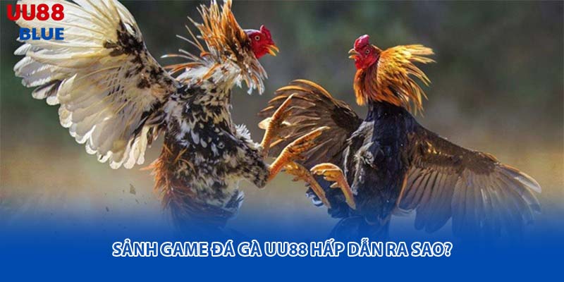 Hội viên chỉ cần thiết bị kết nối internet để theo dõi các trận đấu mọi lúc, mọi nơi mà không phải di chuyển đến trường gà